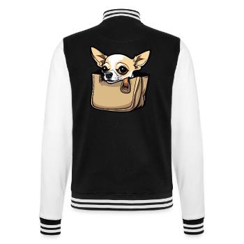 Chihuahua / small dog / animal / tiny / breed - College Sweat Jacket - black/white - Back - Marisol (170cm)
