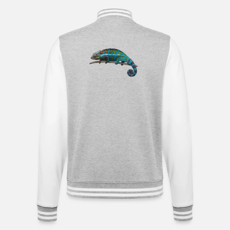 Chamäleon - College-Sweatjacke - Grau meliert/Weiß