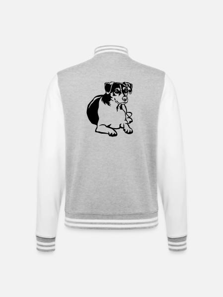 Dansk Svensk Gaardhond - College Sweat Jacket - heather grey/white