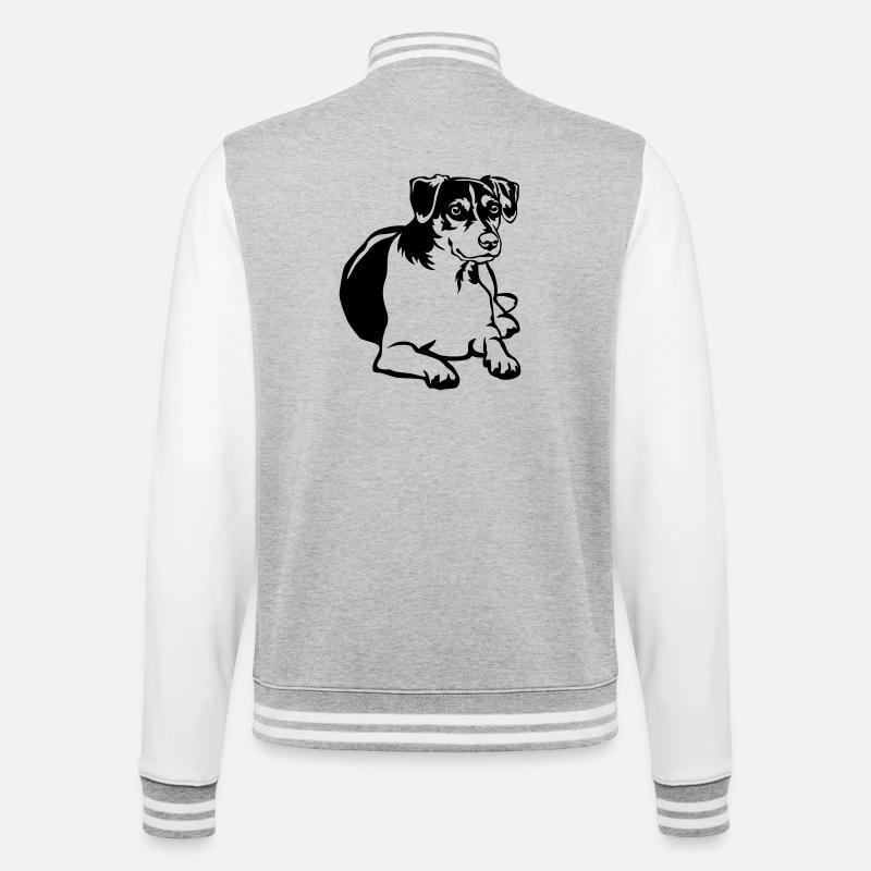 Dansk Svensk Gaardhond - College Sweat Jacket - heather grey/white