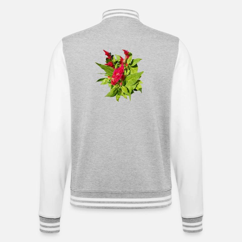 RED CELOSIA - College Sweat Jacket - heather grey/white