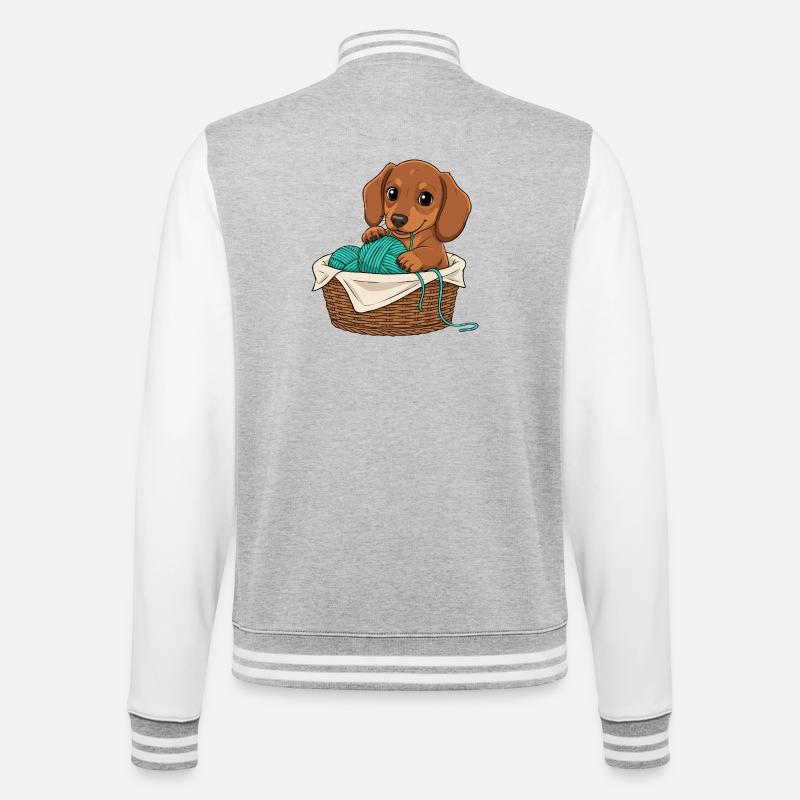 Chiot teckel dans un panier - Veste Teddy - gris chiné / blanc