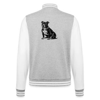 Pitbull américain - Veste Teddy - gris chiné / blanc - Dos - Marisol (170cm)