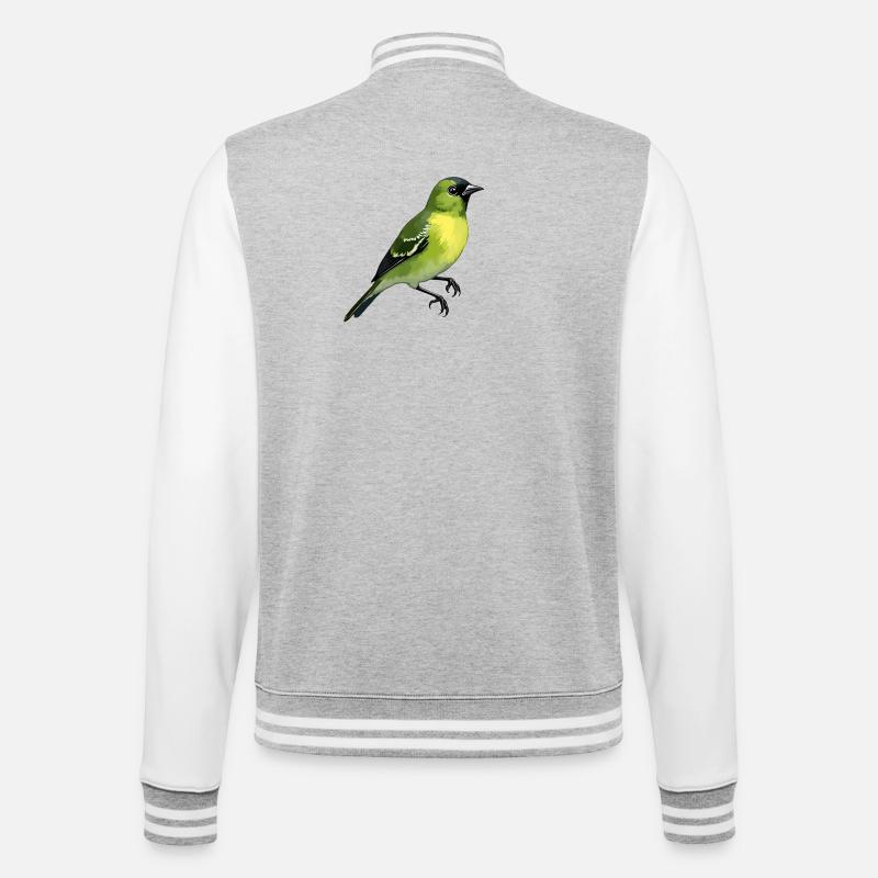 Oiseau Pintard - Veste Teddy - gris chiné / blanc