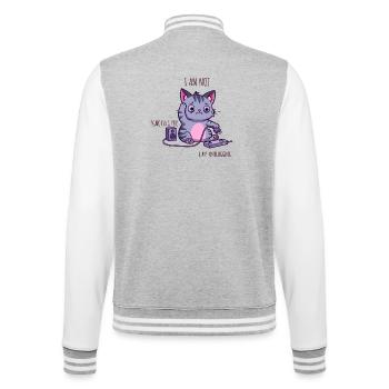 I’m Not Ignoring You, I’m Unplugging - College Sweat Jacket - heather grey/white - Back - Marisol (170cm)