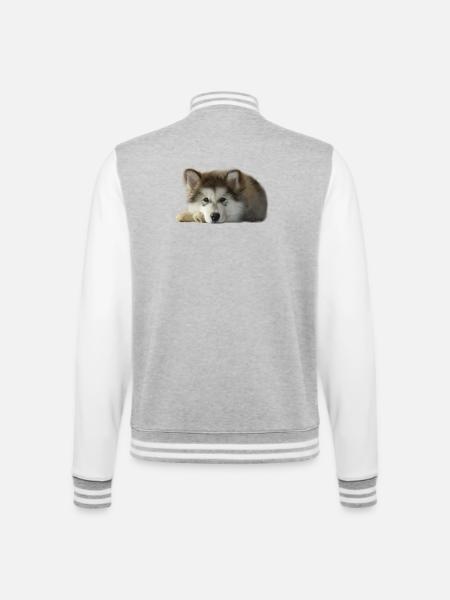 Chiot malamute Maia - Veste Teddy - gris chiné / blanc