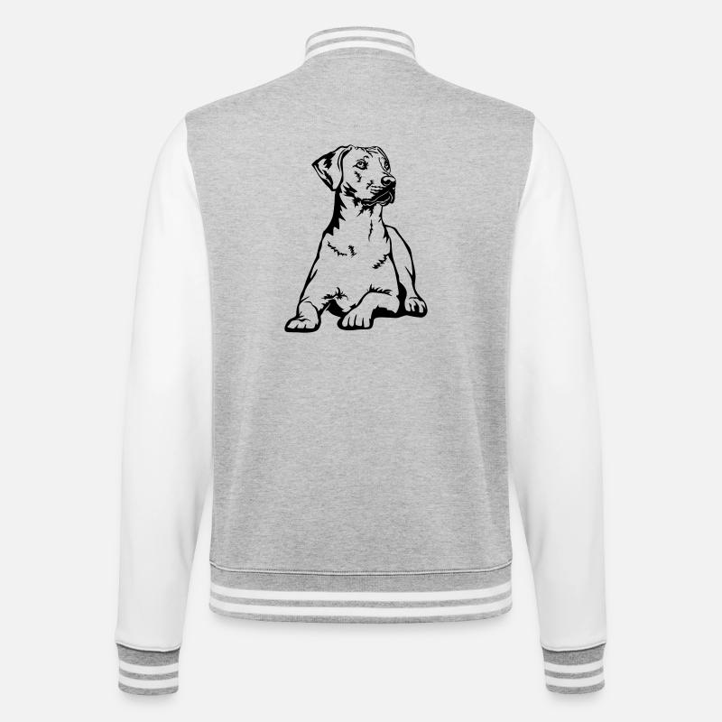 Rhodesian Ridgeback - Veste Teddy - gris chiné / blanc