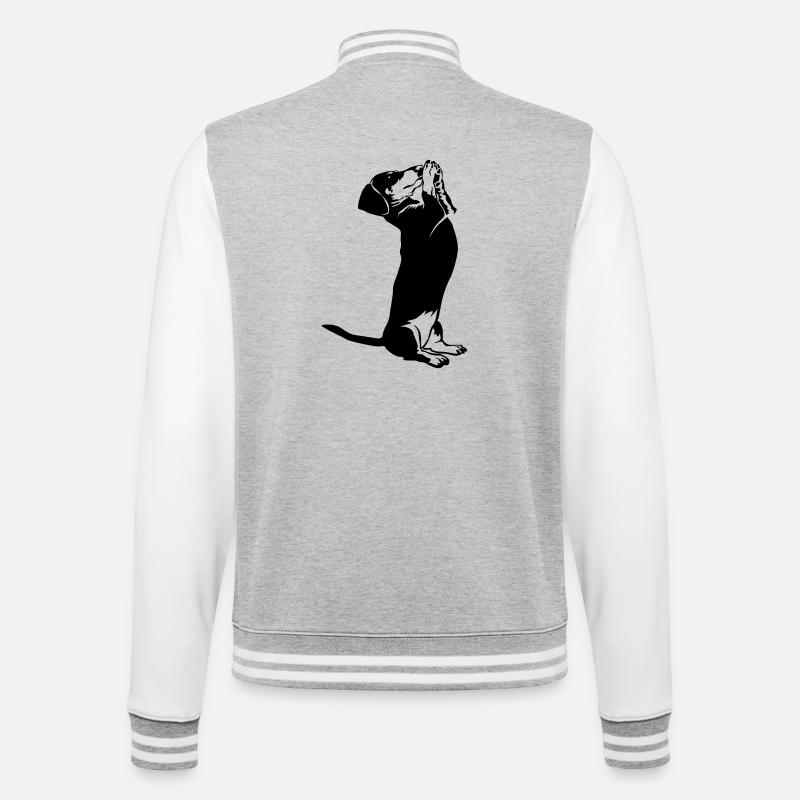 Dackel - College-Sweatjacke - Grau meliert/Weiß