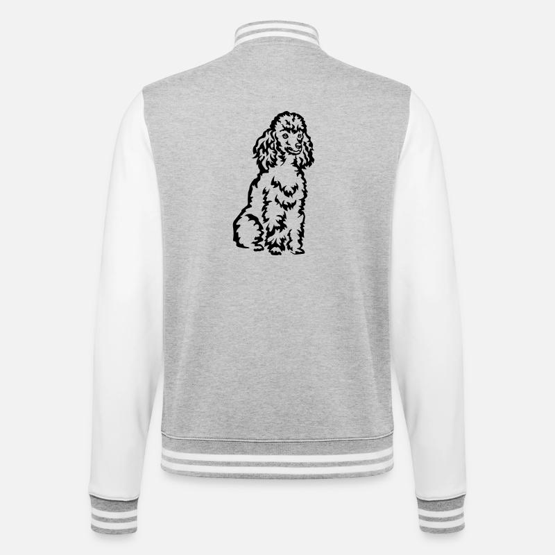 Caniche - Veste Teddy - gris chiné / blanc