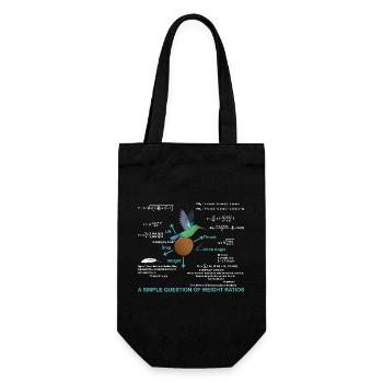 Math Simple question of weight ratios - Gift Bag for Bottles - black - Front