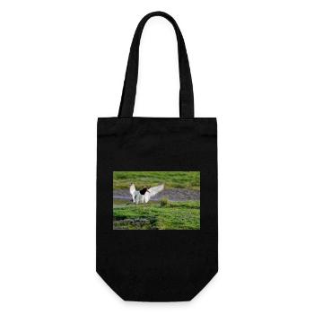 Oyster Catcher - Gift Bag for Bottles - black - Front