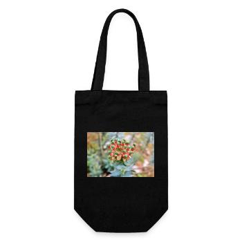 blooming colorful Wolfsmilch (Euphorbia) flower - Gift Bag for Bottles - black - Front
