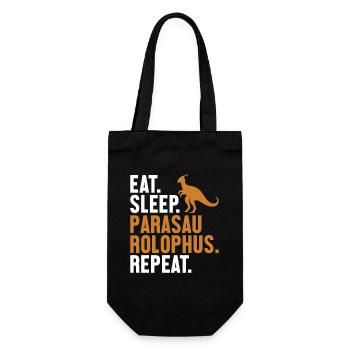 Eat Sleep Parasaurolophus Repeat Dinosaur - Gift Bag for Bottles - black - Front