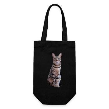 Katze Kätzchen Tigerkatze Katzenshirt Geschenk - Geschenkbeutel für Flaschen - Schwarz - Vorne