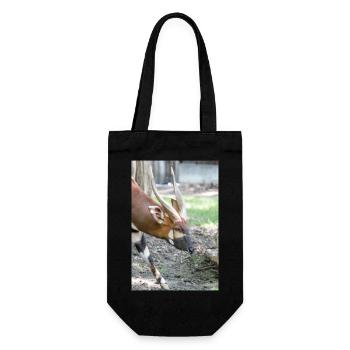 Eastern Bongo (in german Bongo) Tragelaphus euryce - Gift Bag for Bottles - black - Front