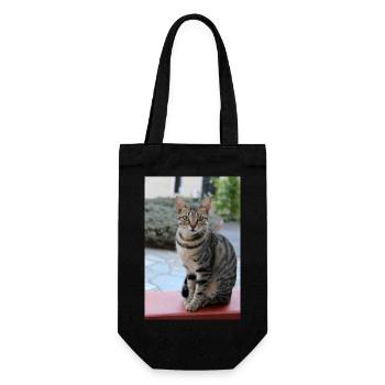chat, chaton - Sac à bouteille - noir - Devant