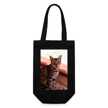 chat, chaton - Sac à bouteille - noir - Devant