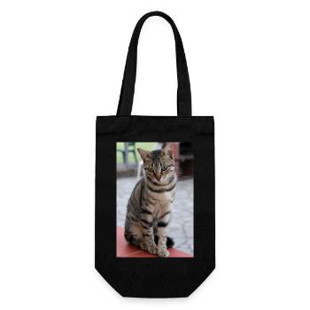 chat, chaton - Sac à bouteille - noir - Devant
