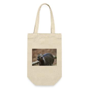 000 3551 NEF - Gift Bag for Bottles - nature - Front