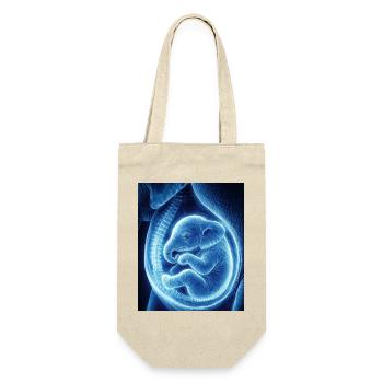 Blue Ultrasonic Baby in Womb - Gift Bag for Bottles - nature - Front