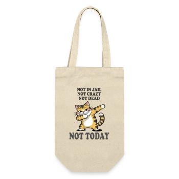 Not Today Funny Cat Attitude Humor Design - Gift Bag for Bottles - nature - Front