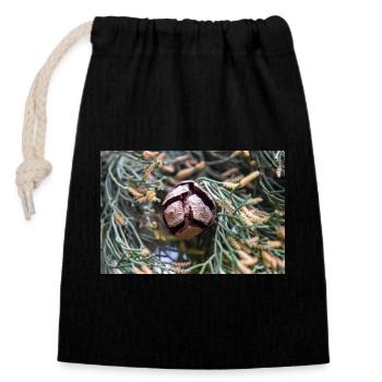Cyprès d’Italie aussi cyprès de Méditerranée - Sac cadeau en coton avec cordon (14 x 20 cm) - noir - Devant
