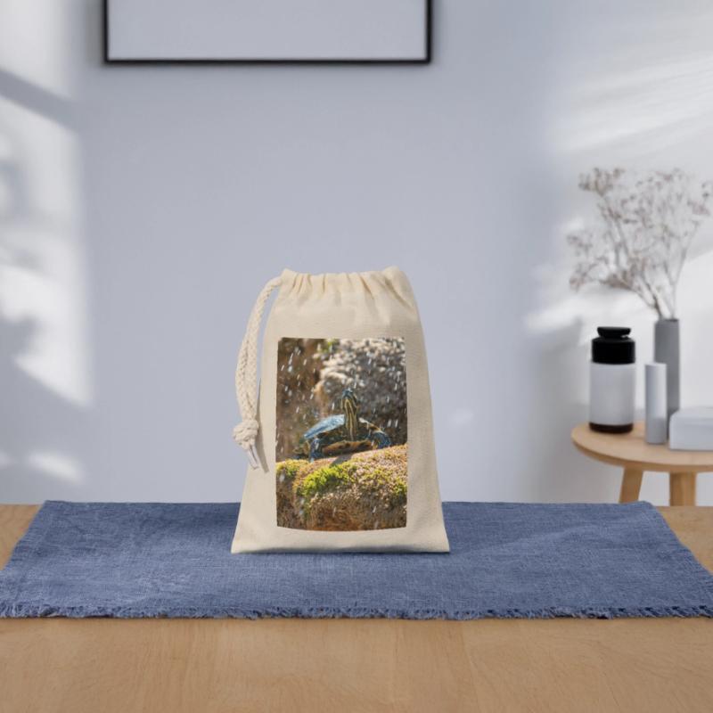 Trachemys scripta scripta scripta Sac cadeau en coton avec cordon (14 x 20 cm)