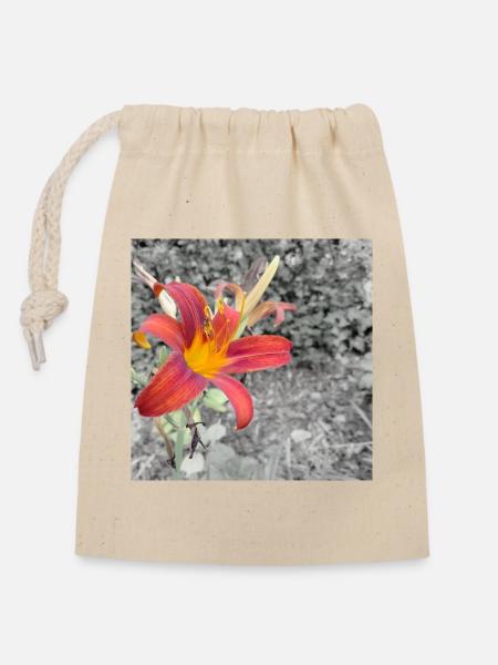 Contraste de couleurs éclatant comme un lycérophe - Sac cadeau en coton avec cordon (14 x 20 cm) - nature