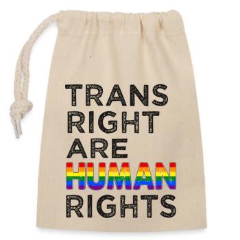 Lgbtq Trains right are human rights - Closable cotton gift bag (14x20cm) - nature - Front