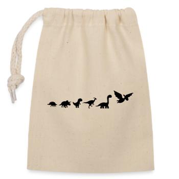 Évolution dinosaures  - Sac cadeau en coton avec cordon (14 x 20 cm) - nature - Devant