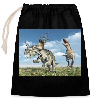 Tyrannosaurus Rex and Styracosaurus - Closable cotton gift bag (25x30cm) - black - Front