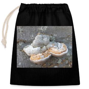 surgeon's agaric also tinder fungus Zunderschwamm - Closable cotton gift bag (25x30cm) - black - Front
