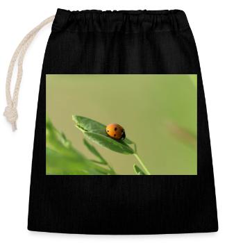 Coccinelle Coléoptère May Beetle - Sac cadeau en coton avec cordon (25 x 30 cm) - noir - Devant