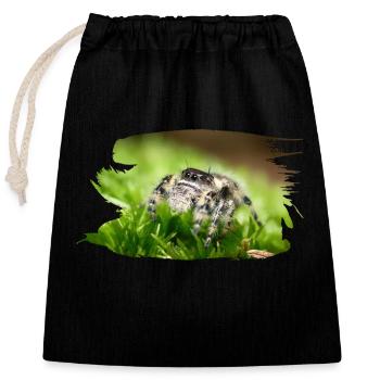 Phidippus bidentatus jumping spider spring spinne - Sac cadeau en coton avec cordon (25 x 30 cm) - noir - Devant