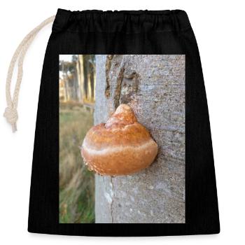 red band fungus also red-banded polypore - Closable cotton gift bag (25x30cm) - black - Front