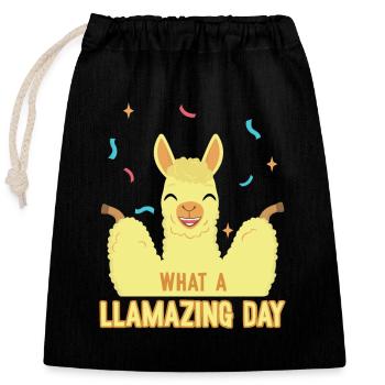Quelle journée incroyable Alpaga Pako Lama - Sac cadeau en coton avec cordon (25 x 30 cm) - noir - Devant