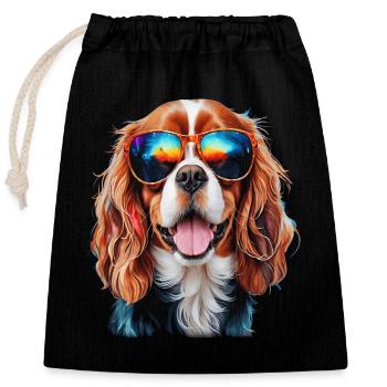 Lunettes de soleil Cavalier King Charles Spaniel Chien - Sac cadeau en coton avec cordon (25 x 30 cm) - noir - Devant
