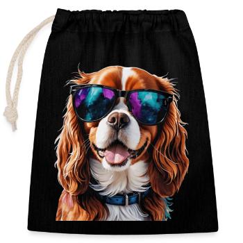 Cavalier King Charles Spaniel Lunettes de Soleil Chien - Sac cadeau en coton avec cordon (25 x 30 cm) - noir - Devant