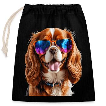 Cavalier King Charles Spaniel Lunettes de soleil Chien - Sac cadeau en coton avec cordon (25 x 30 cm) - noir - Devant