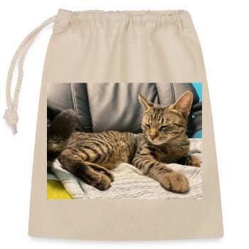 Cozy tiger cat in the light - Closable cotton gift bag (25x30cm) - nature - Front