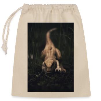 Rapace - Sac cadeau en coton avec cordon (25 x 30 cm) - nature - Devant