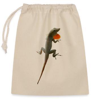 Echsen-Männchen Anolis grahami auf Jamaica - Verschließbarer Geschenkbeutel aus Baumwolle (25x30cm) - Natur - Vorne