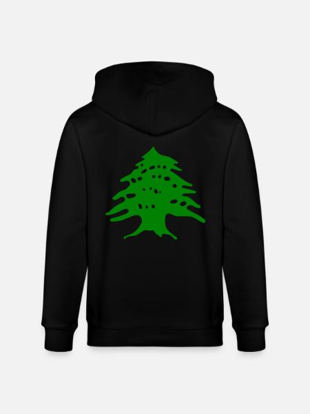 Liban - Veste à capuche bio CULTIVATOR Stanley/Stella Unisexe - noir