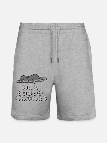 Heute nicht, danke - Stanley/Stella Unisex Bio Joggingshorts Trainer - Grau meliert