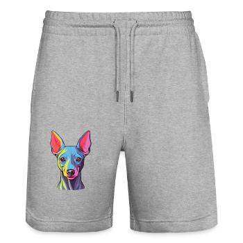 American Hairless Terrier Hunderasse Aquarell Auto - Stanley/Stella Unisex Bio Joggingshorts Trainer  - Grau meliert - Vorne - Nik (191cm) & Marisol (170cm)
