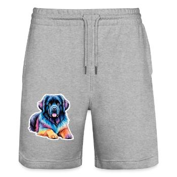 Aquarelles de Terre-Neuve - Short de jogging bio TRAINER Stanley/Stella unisexe - gris chiné - Devant - Nik (191cm) & Marisol (170cm)