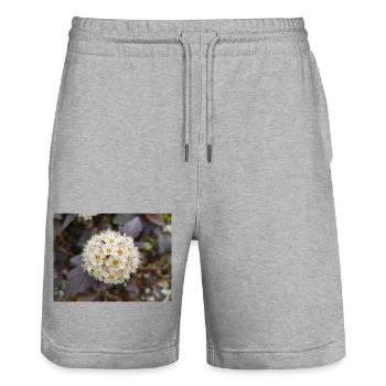 Neunrinde Physocarpus capitatus Blasenspiere - Stanley/Stella Unisex Bio Joggingshorts Trainer  - Grau meliert - Vorne - Nik (191cm) & Marisol (170cm)