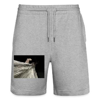 Pure Wood - Stanley/Stella Unisex Bio Joggingshorts Trainer  - Grau meliert - Vorne - Nik (191cm) & Marisol (170cm)