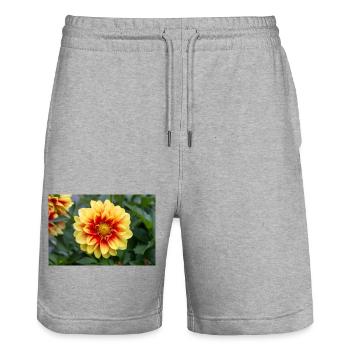 Dahlia (in german Dahlie) Dahlia - Stanley/Stella Unisex Bio Joggingshorts Trainer  - Grau meliert - Vorne - Nik (191cm) & Marisol (170cm)
