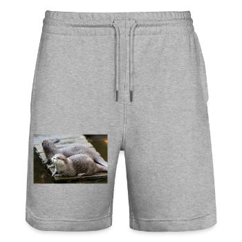 Asiatischer Kleinkrallenotter Zwergotter - Stanley/Stella Unisex Bio Joggingshorts Trainer  - Grau meliert - Vorne - Nik (191cm) & Marisol (170cm)